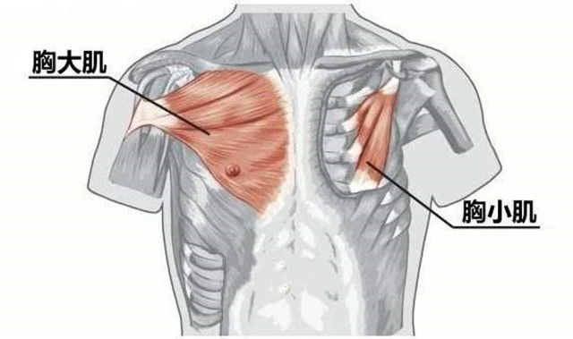 适合斜方肌大平胸的女生穿衣打扮,平胸妹穿搭高级