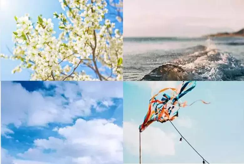 阿基米德传奇的一生,阿基米德一生的成就