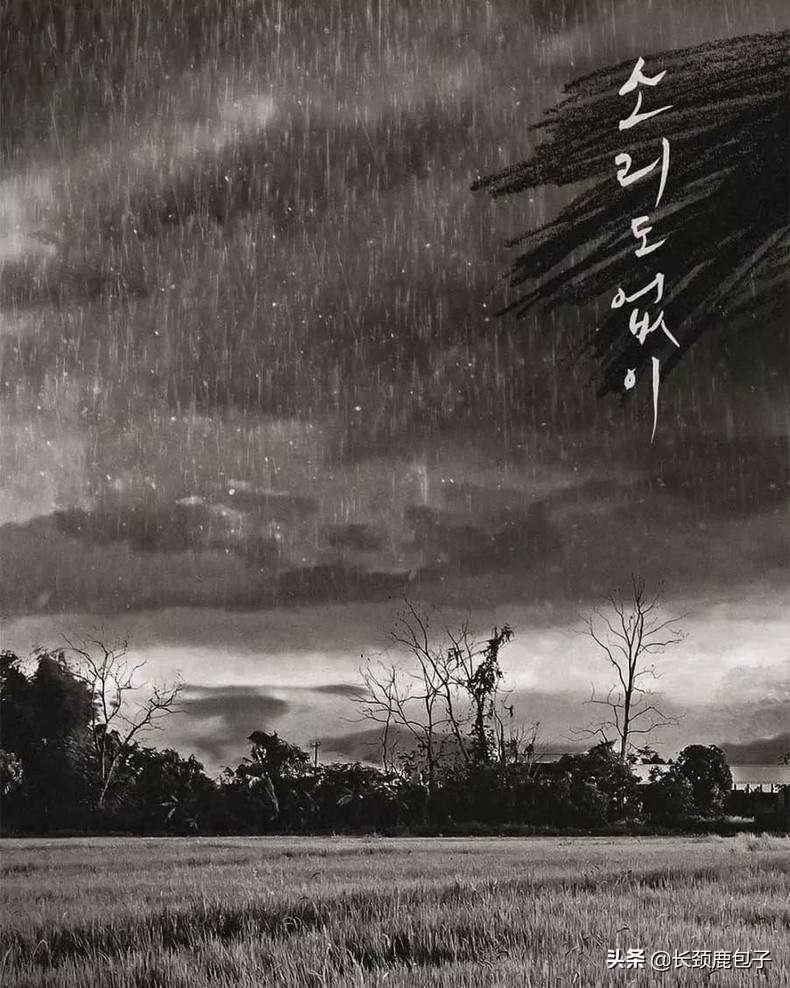 人气最旺的十部片,100部最佳华语片