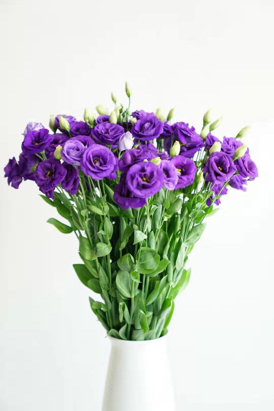 转机！京东鲜花欲打开花卉滞销困局