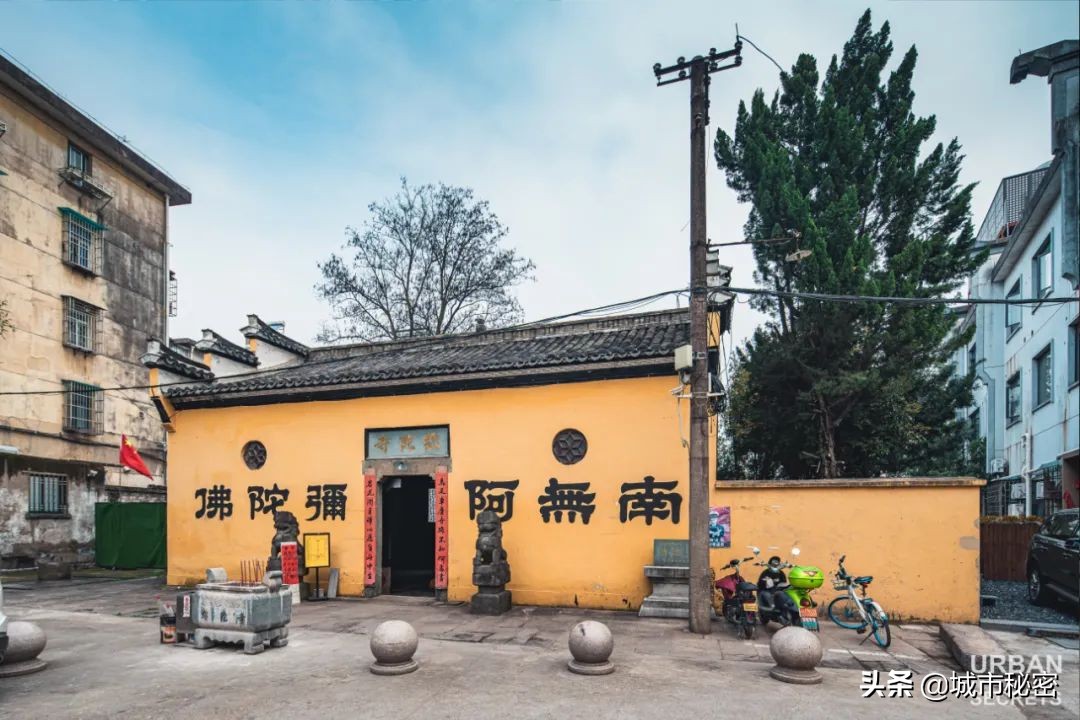 金庸谈衢州,金庸笔下浙江江山市