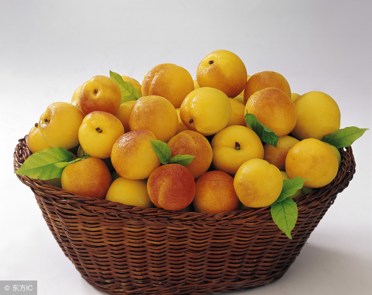 老年人骨质疏松饮食禁忌食谱,老人腰压缩性骨折饮食注意什么