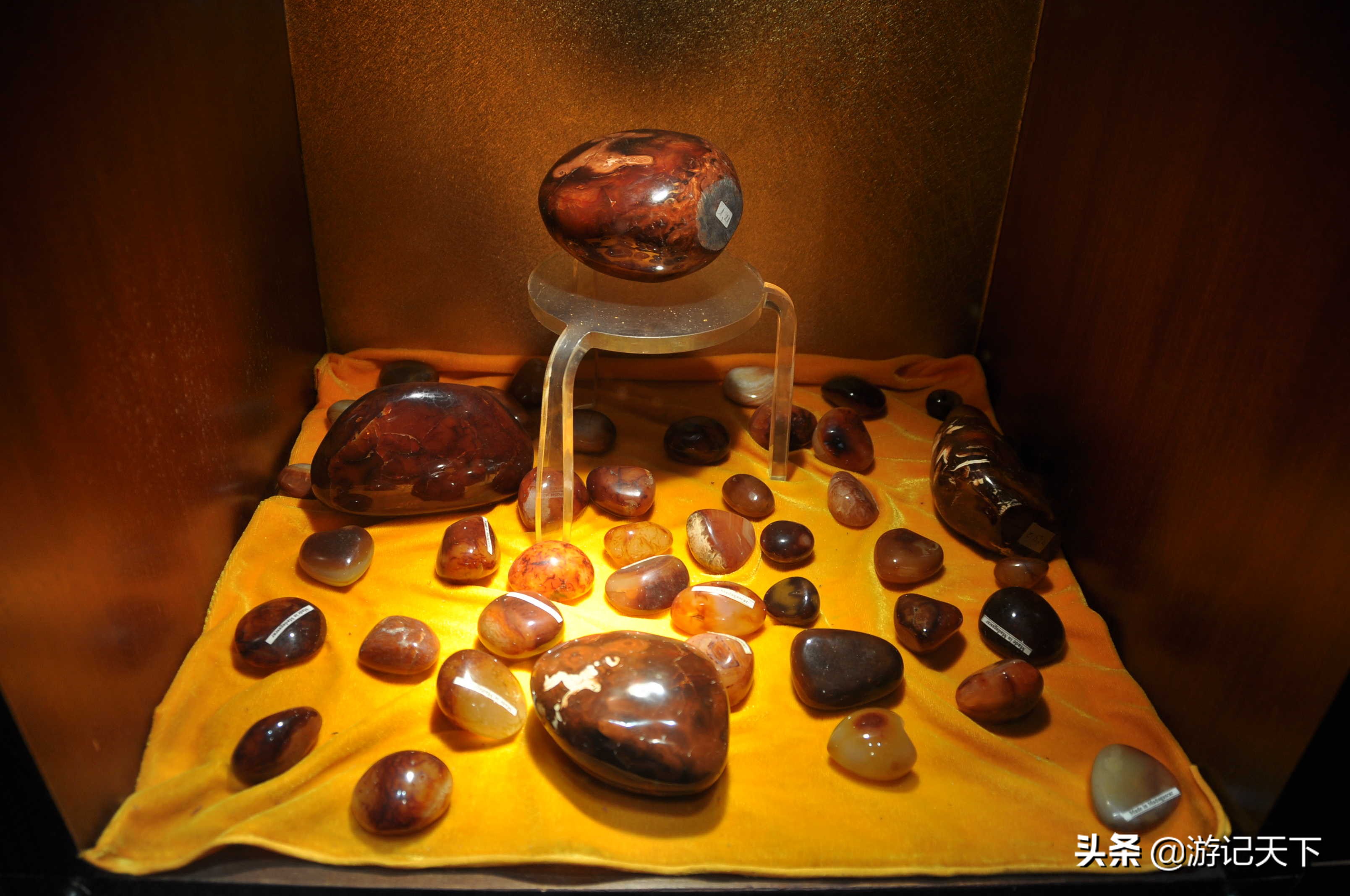 参观上海东方地质科普馆,上海东方地质科普馆需要预约吗