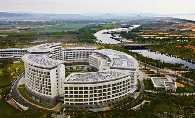 一条海棠路，半座三亚城：“海岛第一路”背后蕴藏怎样的资源密码