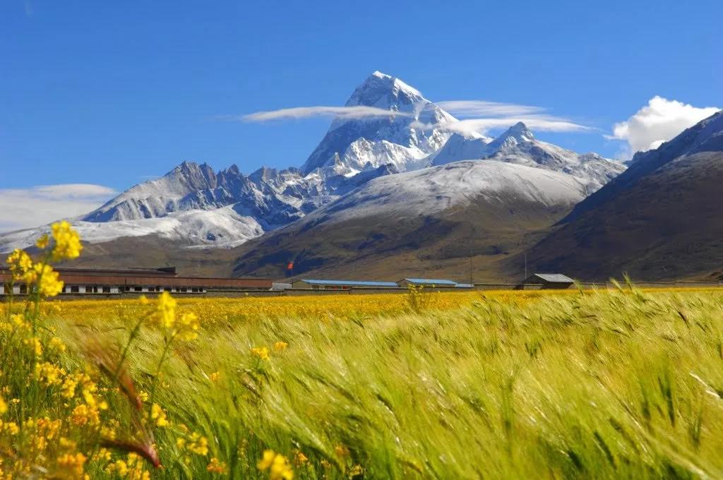 中国快递之快让全世界都惊呆了,中国桥梁为何惊呆了全世界