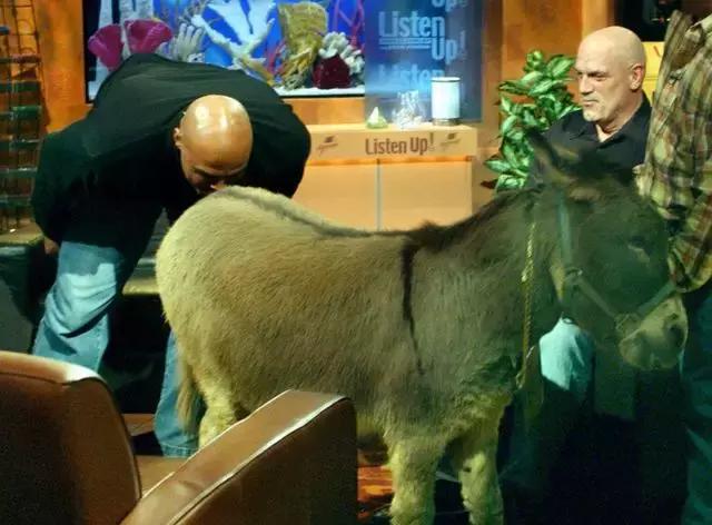 巴克利生涯总得分有没有姚明多,巴克利亲驴完整视频