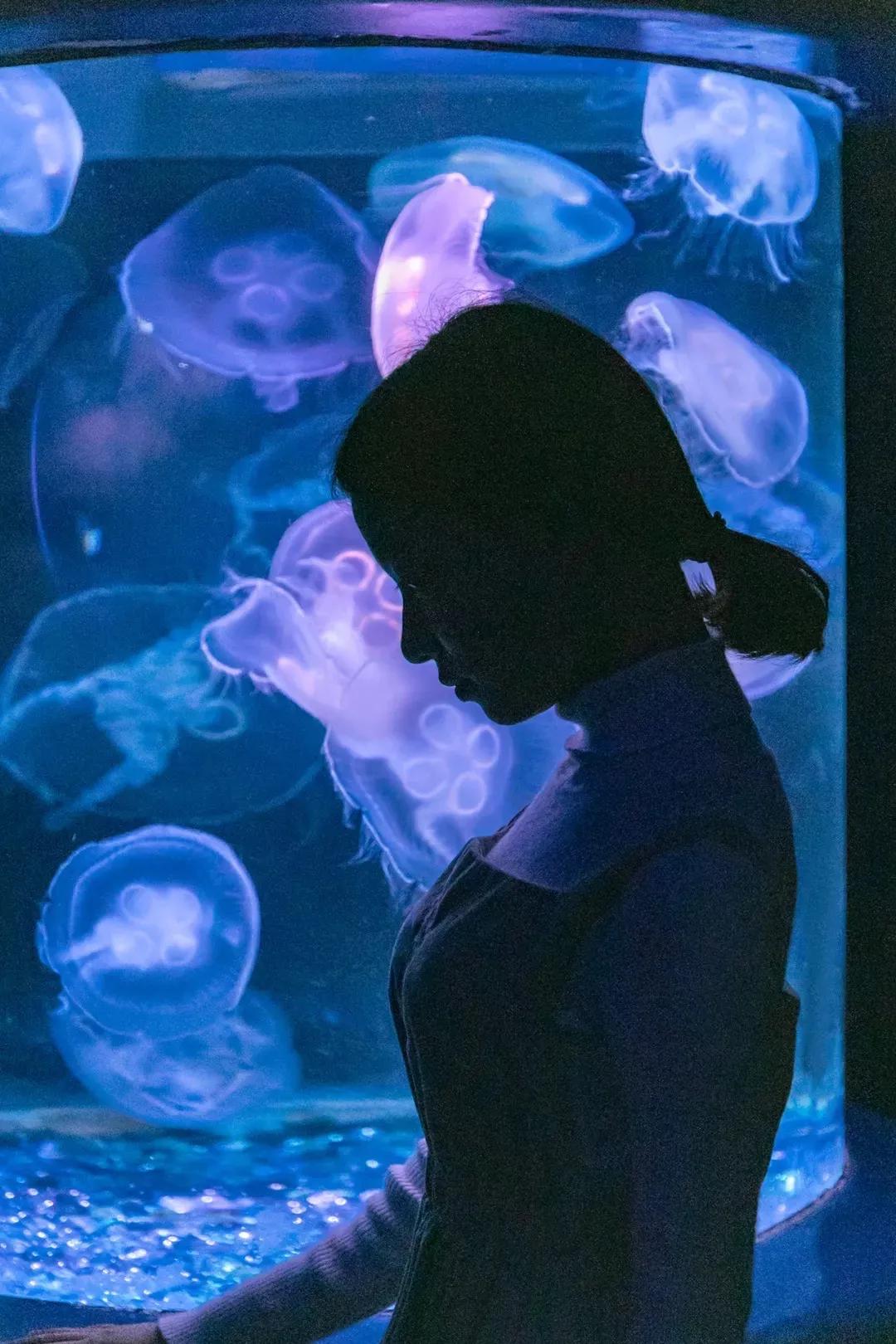 9号线上有什么景点吗,9号线游玩攻略大全