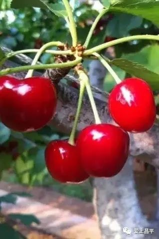 露营抓住五一假期的小尾巴,昌平民宿自驾游推荐