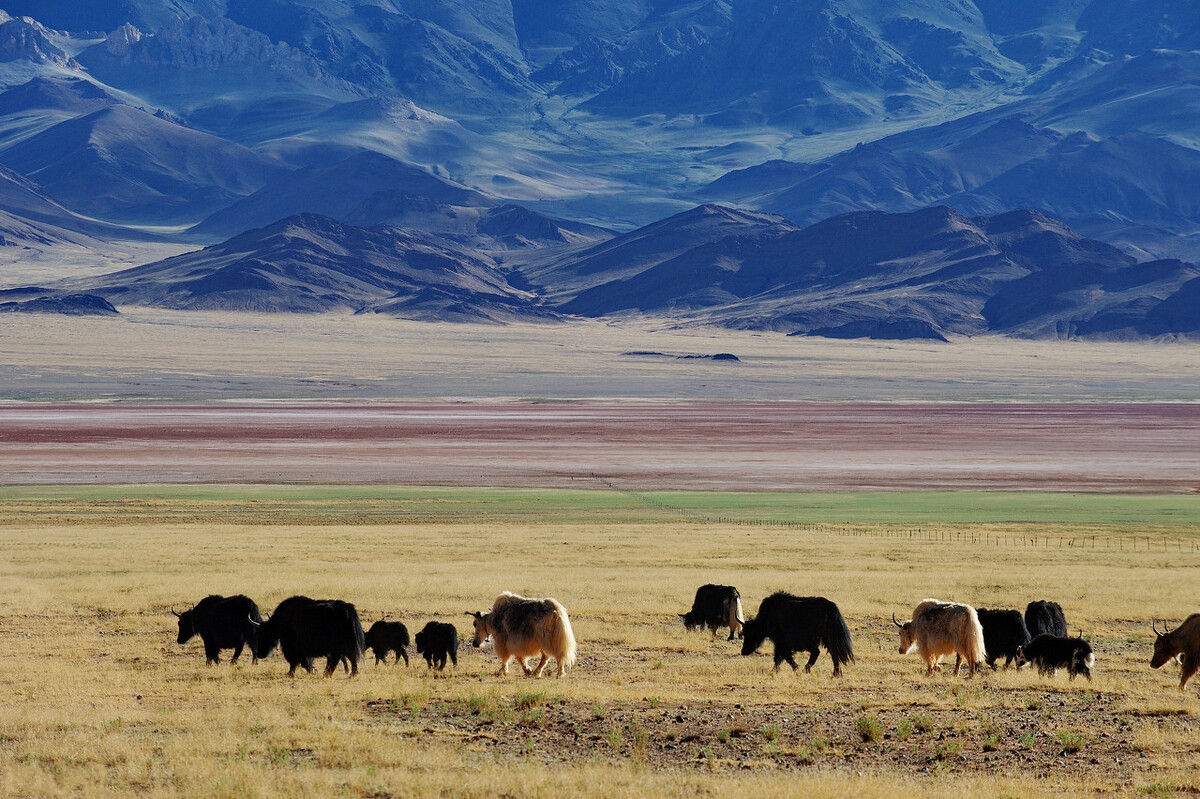 国家地理评选一生必去的50个城市,国家地理评选中国必去的50个地方