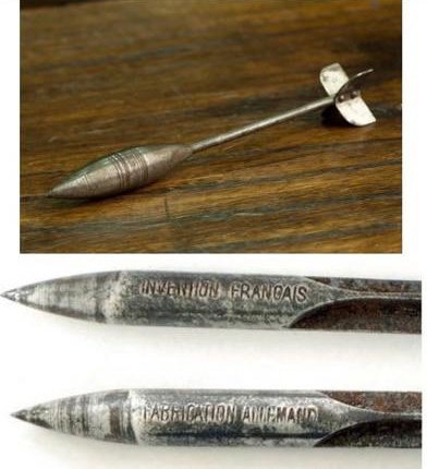 显微镜下蚂蚁的真实面目图片,蚂蚁在显微镜下的样子图片