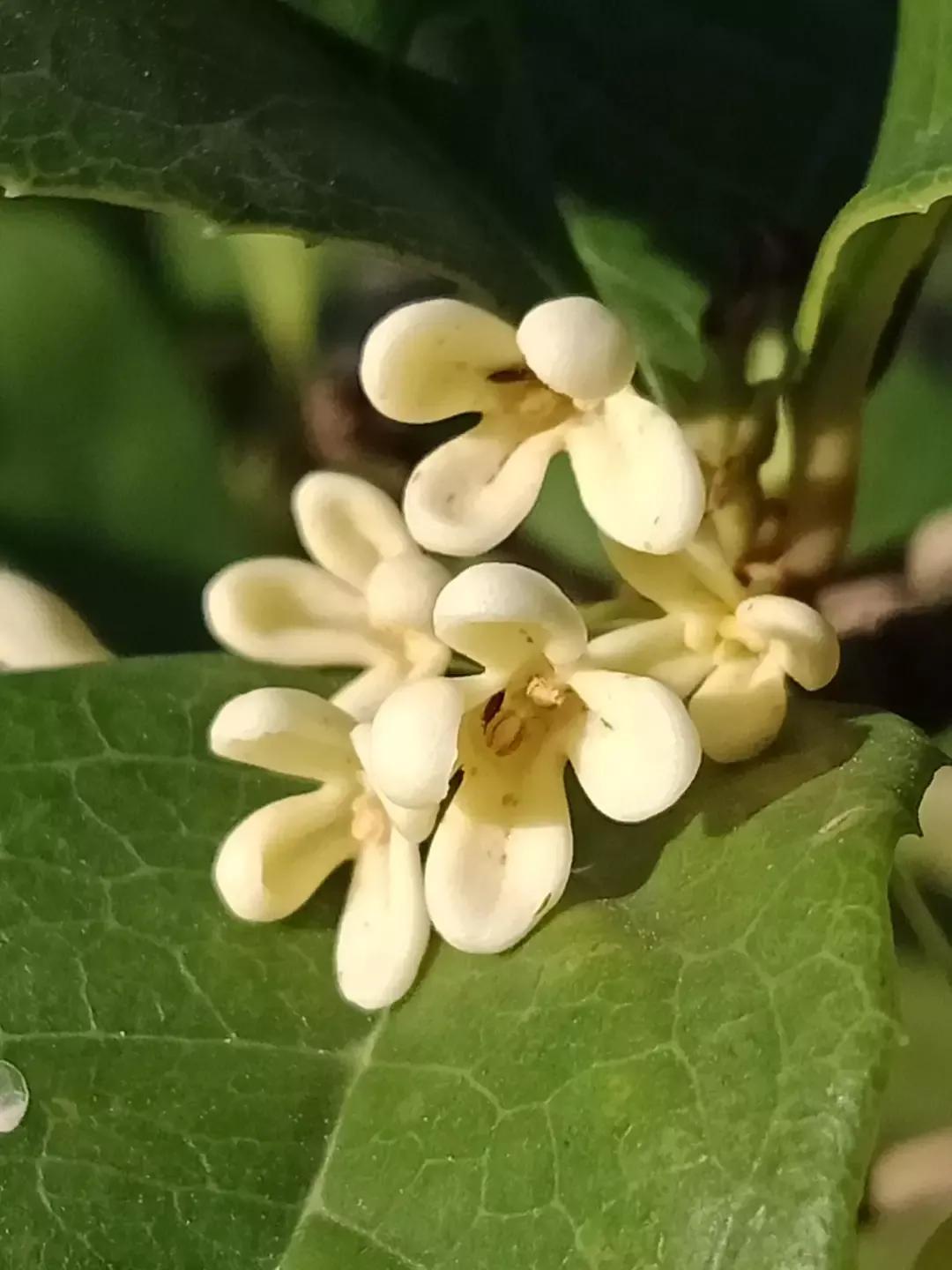 人睡着后不盖被子会着凉吗,人睡觉时为什么要枕枕头