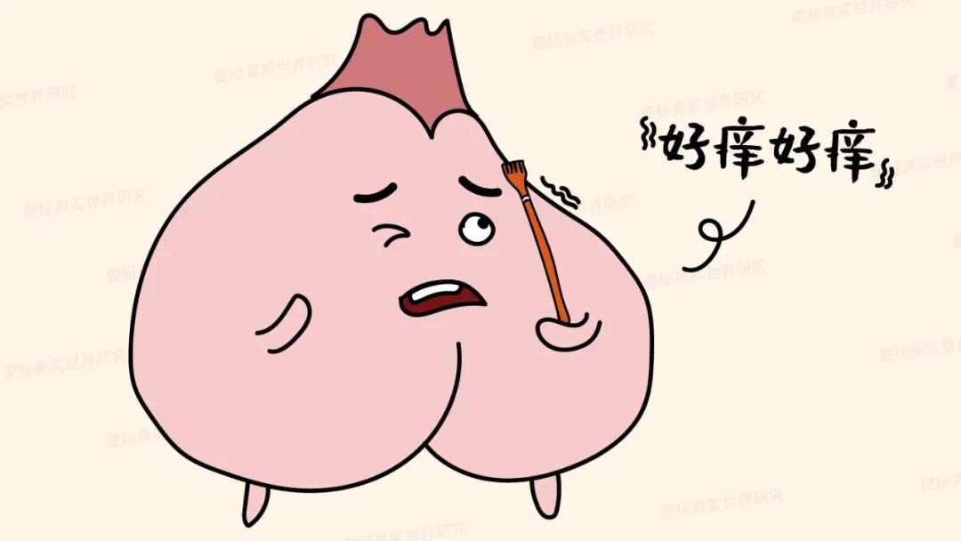 局部周围持续瘙痒,菊部痒是怎么回事