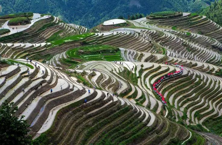 2019已过去迎接新的2020已到来,广西之旅2019