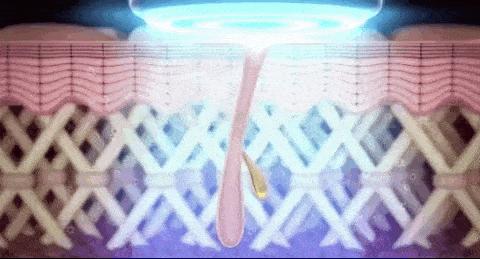 雅萌到底该怎么选,新手买雅萌哪款合适