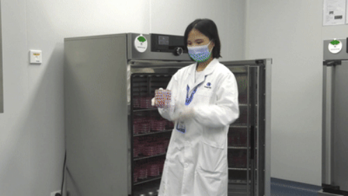 康婷｜严把产品质量关严格成就您的放心之选