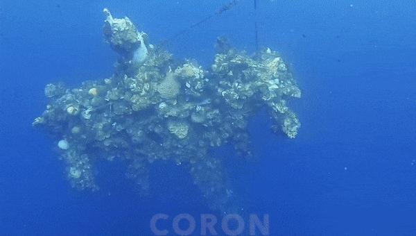 天津出发坐飞机2日游旅游推荐,天津出国旅游机票