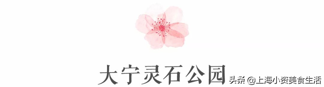 顾村公园一年一度赏樱,顾村公园赏樱点