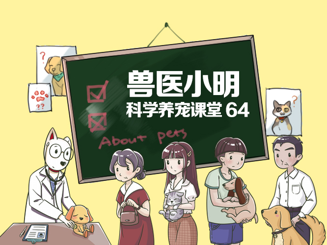 狗狗易患的疾病铲屎官养犬须知,狗狗得了细小喂了驱虫药