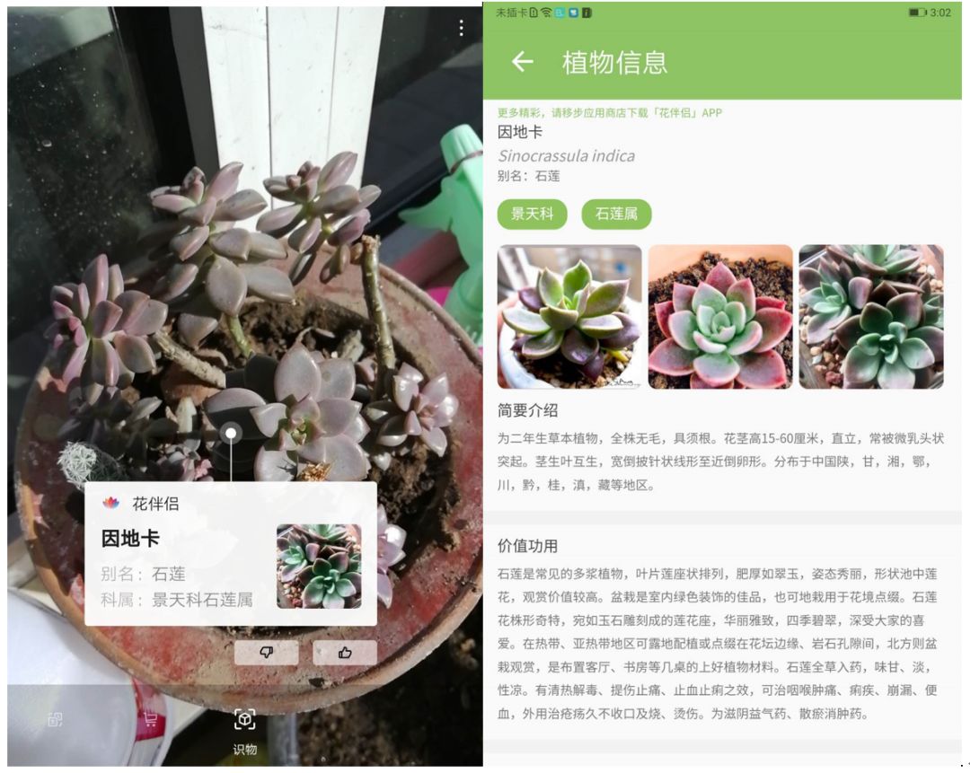 华为平板m5青春版8寸讲解,huaweimediapadm5lite青春版