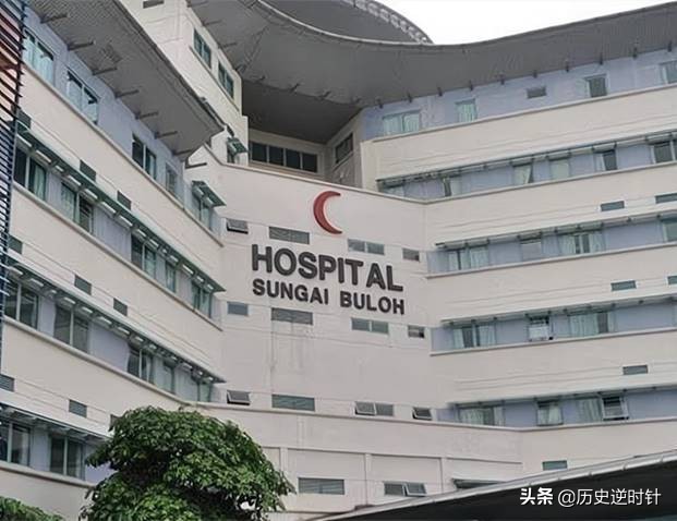 女子跆拳道实战被暴揍,女子跆拳道失误死亡事件集锦