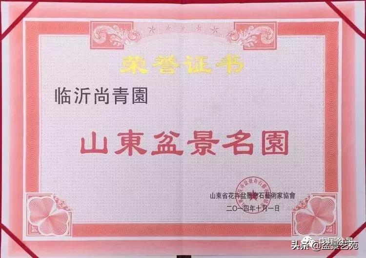 山东盆景艺术大师王桂华,金艳盆景精品欣赏