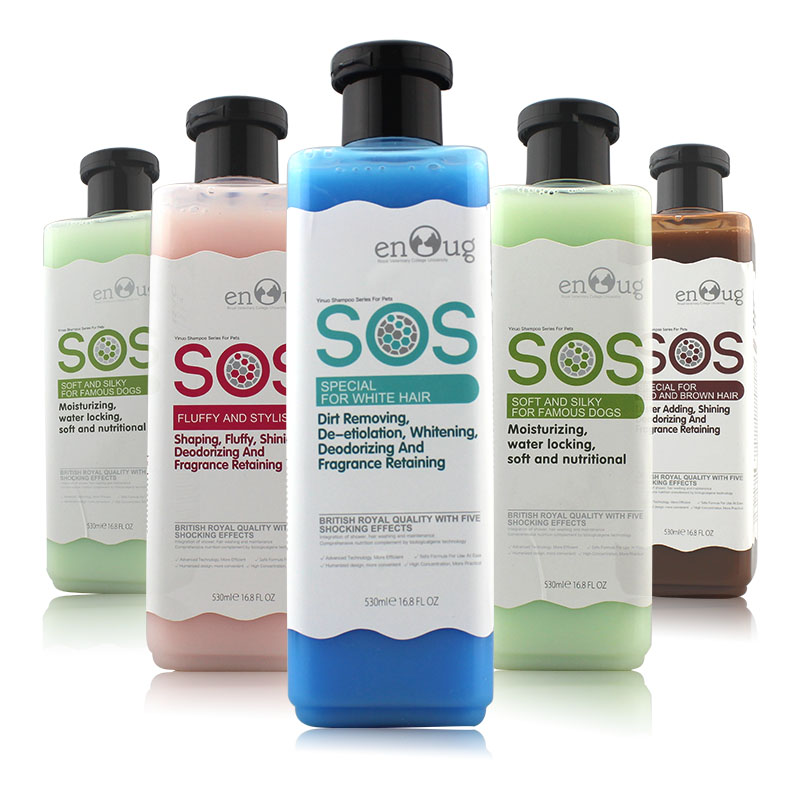 如何向猫咪表达爱意,如何向猫咪表达友善的叫声