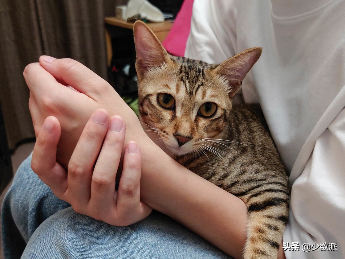 2020年索尼手机用起来如何？Xperia1II体验