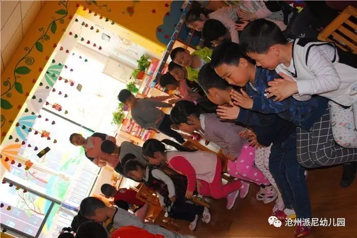 生命教育孵蛋,生命教育课程孵小鸡