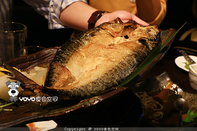 挪威自由行游记,挪威三文鱼远洋