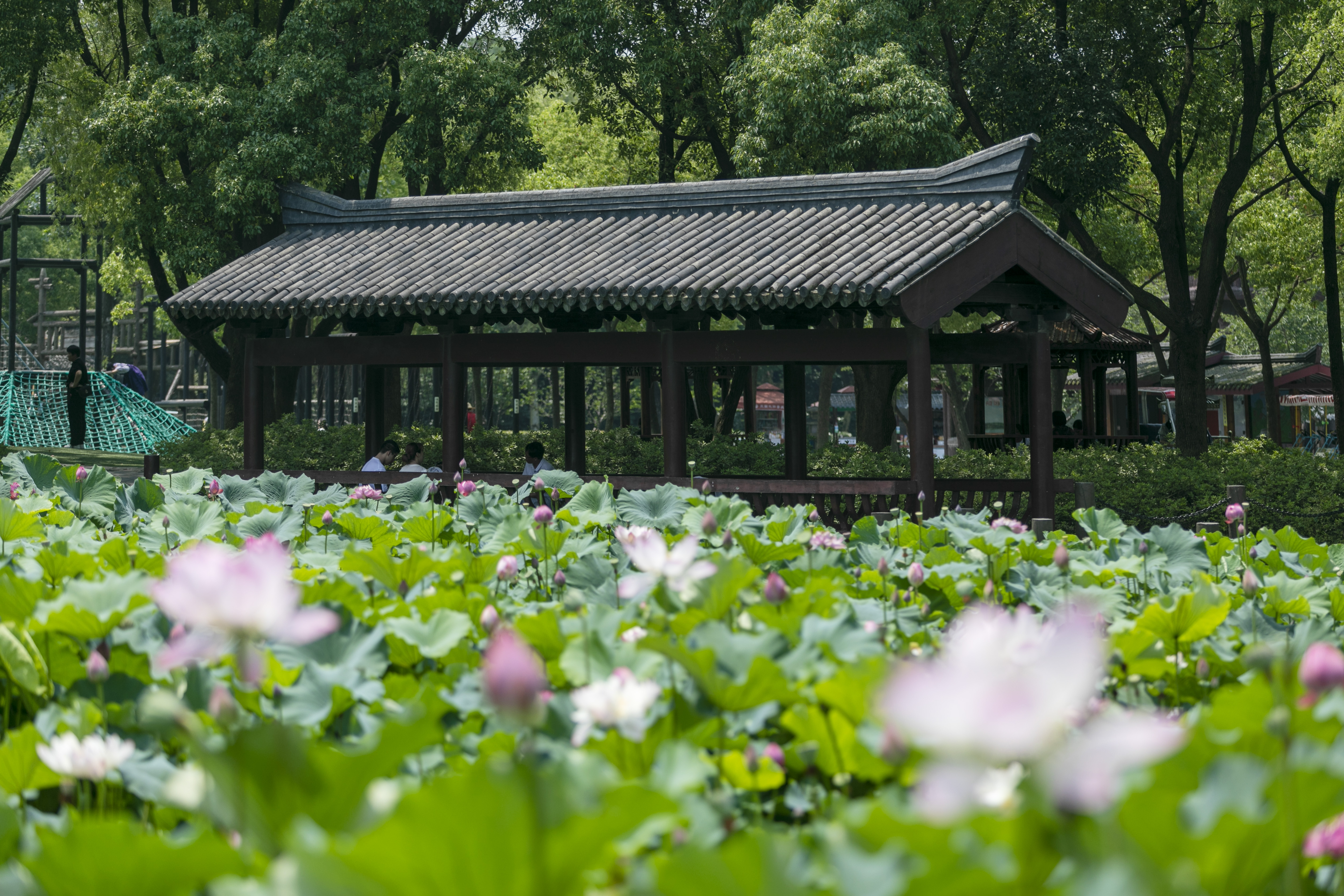 无锡水浒城旅游攻略一日游推荐,无锡三国水浒城旅游攻略