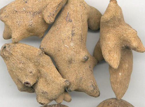 过敏性紫癜属于皮肤科还是血液科,过敏性紫癜看血液科专家可以吗