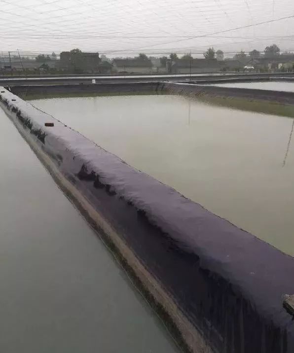水产养殖池漏水处理方法,池塘渗水漏水怎么办