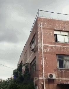 搞笑动图表情包,搞笑动图gif微信表情包