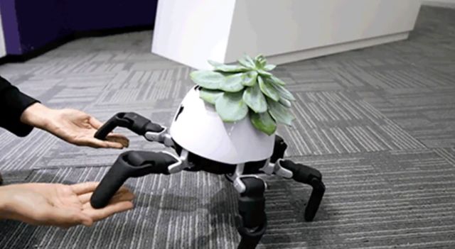 生活不方便的小玩意,生活中好玩的小玩意