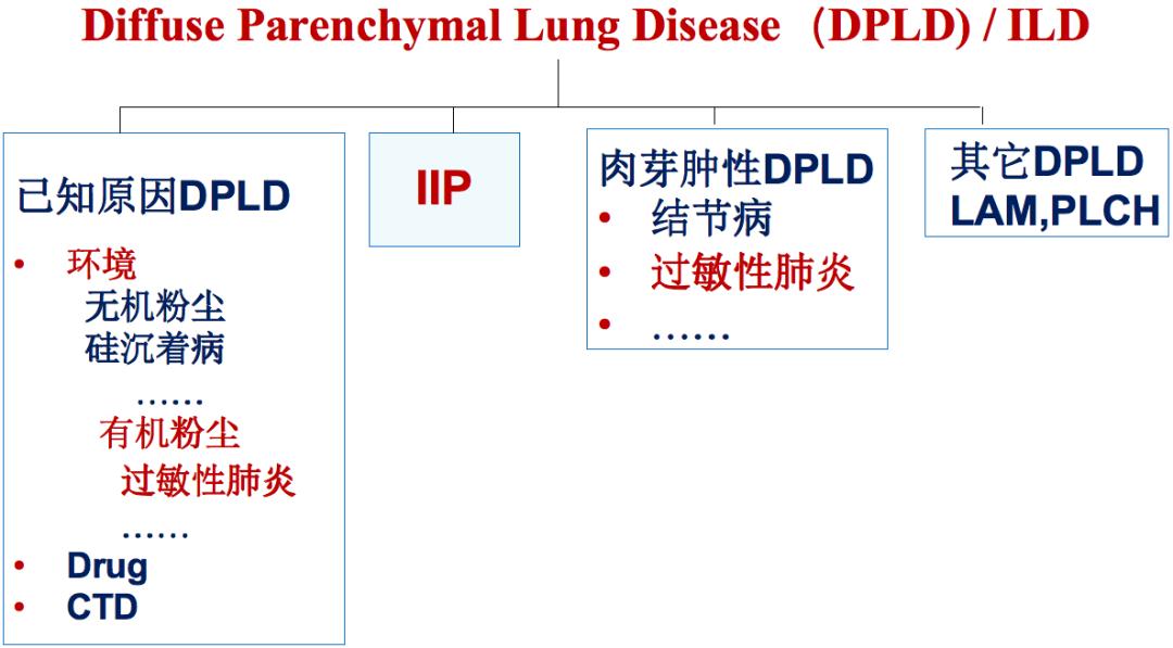 养鸽子造成皮肤真菌感染,养鸽子会得肺炎吗