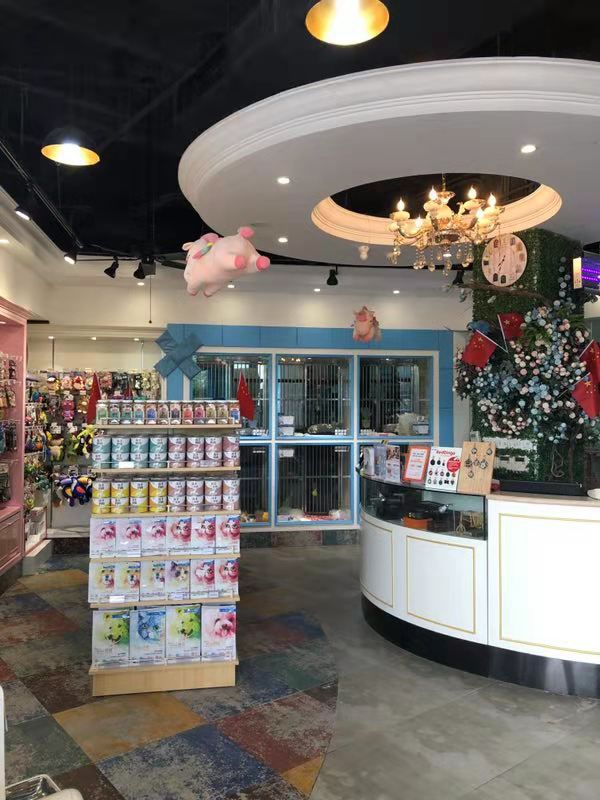 开宠物店成都哪里最好卖,成都最大宠物连锁店