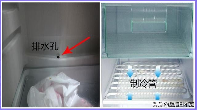 冰箱标识到底怎么分合理,海尔冰箱右上角的标识是汉字