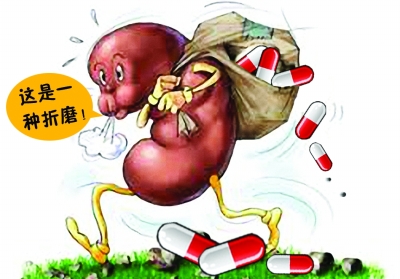 肾功能好不好,肾功能哪个指标最重要