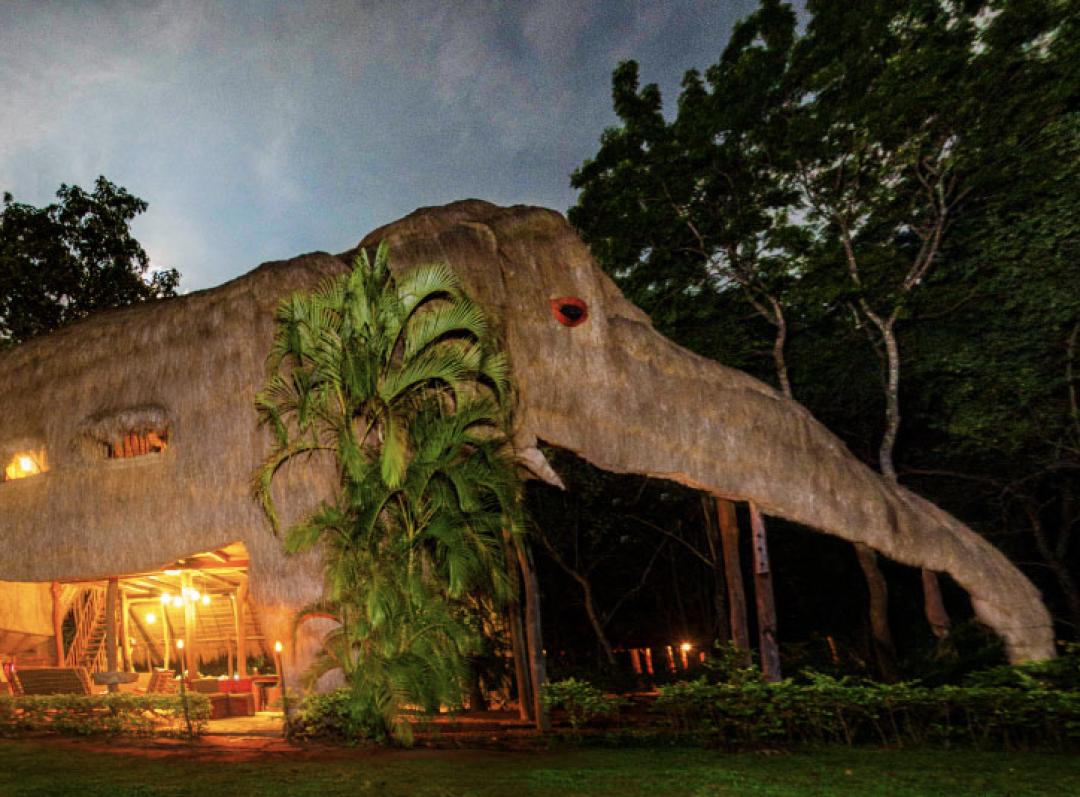 看了就想养的宠物,看了就想养宠物的视频