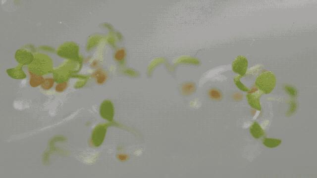 笔记本电脑抗蓝光和护眼屏的区别,防蓝光护眼电脑屏幕真的能有效吗