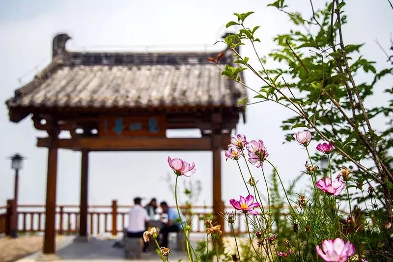 洛阳适合休息的公园,洛阳免费公园景点大全