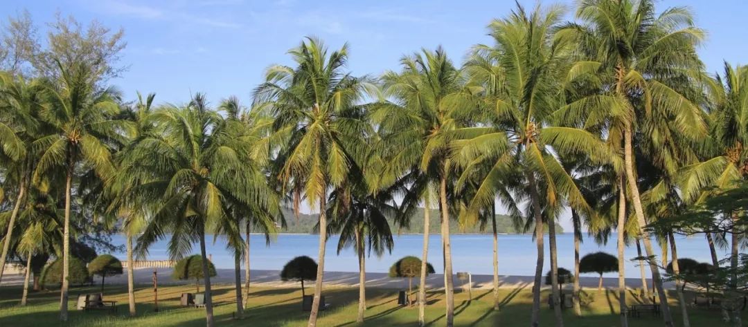 成都宝妈:孩子征服世界的第一站