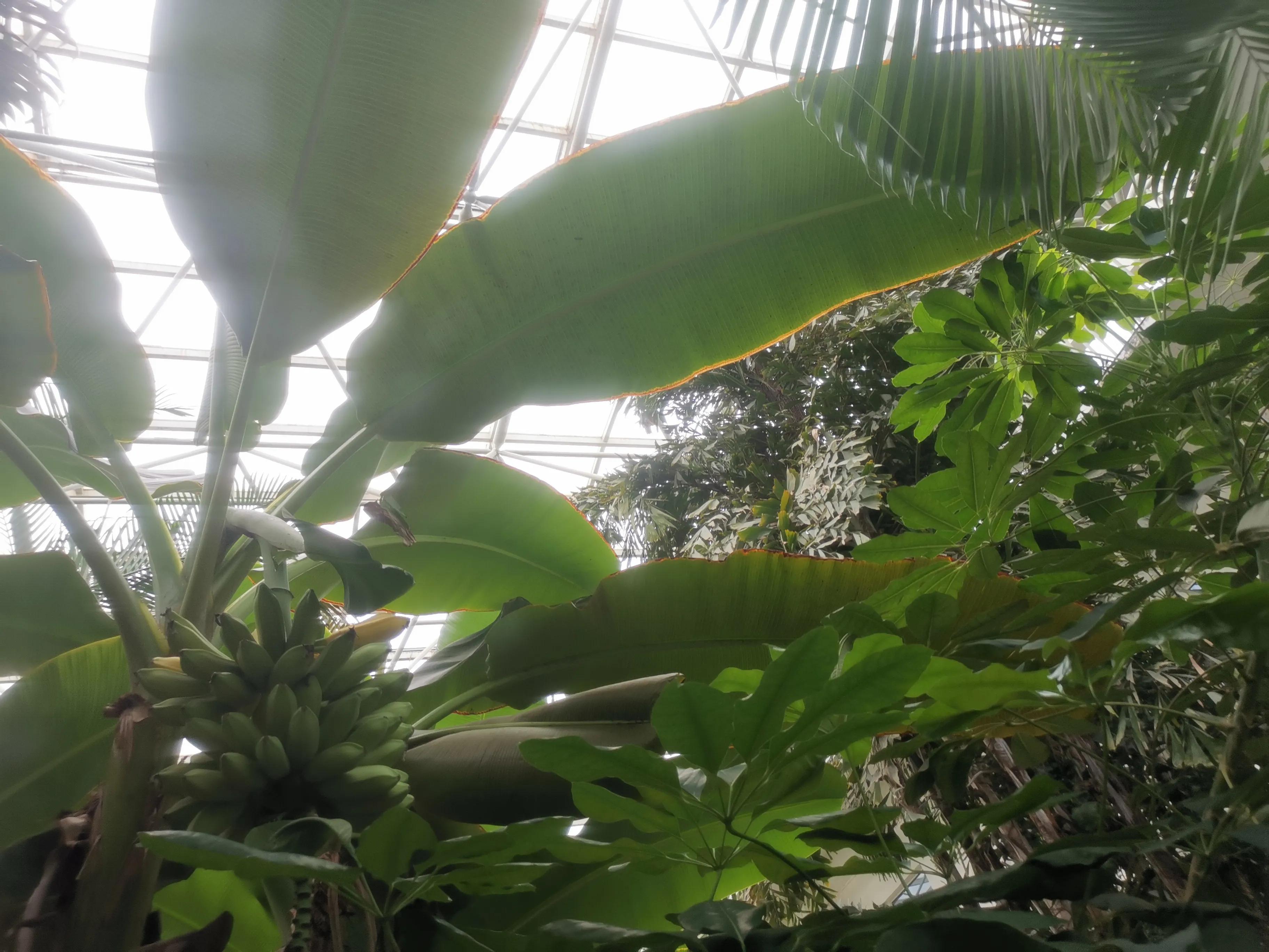 凤山温泉,北京金隅凤山温泉特色