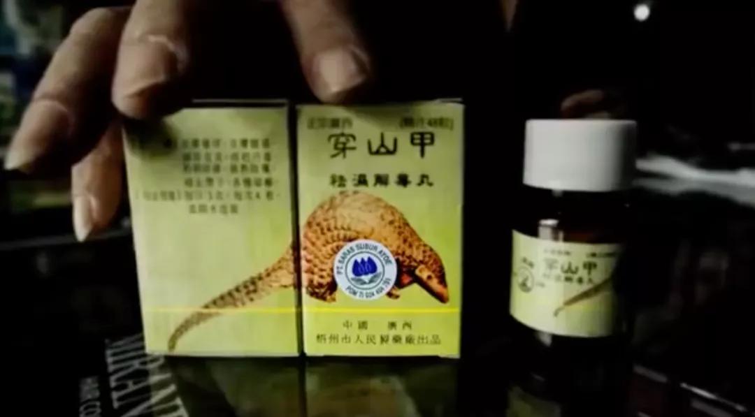 终于！药典除名穿山甲