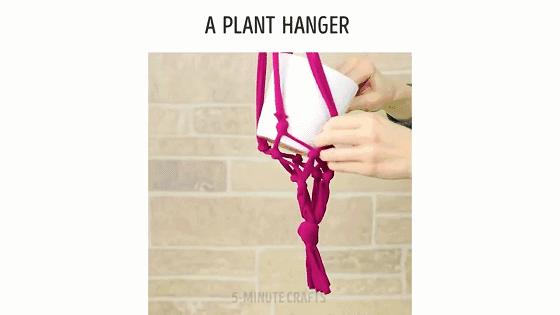 在家怎么无土种菜简单又安全,家庭种菜不用肥料种菜方法