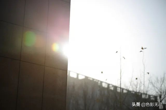 佳能rf24-105mmf2.8镜头评测,无忌测试