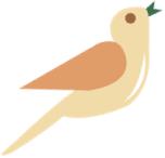 xp添加局域网打印机,无法连接局域网打印机