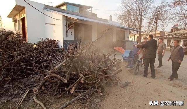 一种新型畜禽粪便制有机肥的方法,畜禽粪便主要原料的有机肥外观