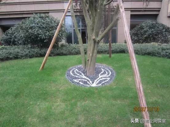 小区绿化日常养护工作内容,小区绿化养护多少钱一个平方