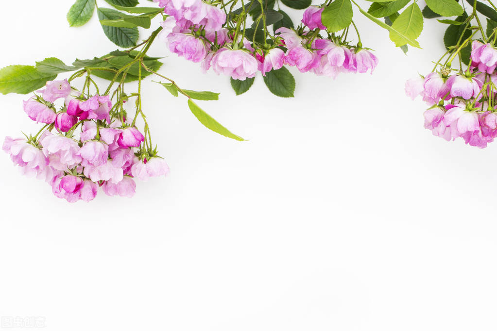 寻找自由的人,找寻自由的路上